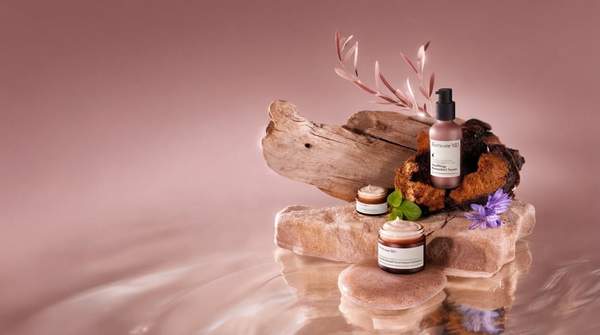 Editorial illustration for How Adaptogens Work in Skincare: The Science of Skin Resilience